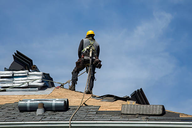 Professional Roof Replacement technician working in East Pharsalia, NY